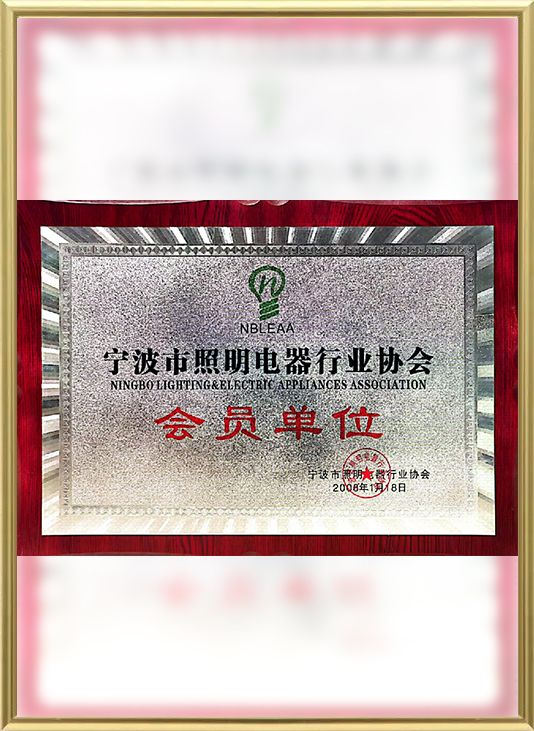 Certificado-9